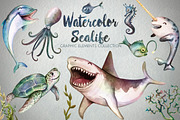 Watercolor Sea Life Graphics