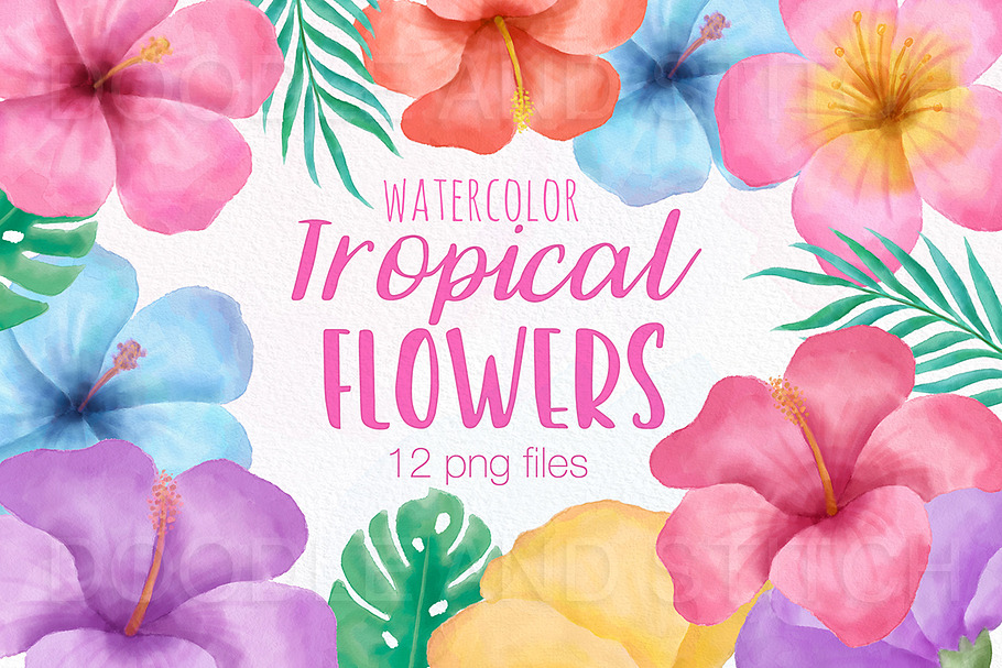 Tropical Flowers Watercolor