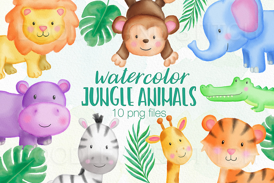 Jungle Animal Watercolor Designs