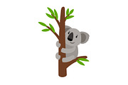 Grey koala on tree