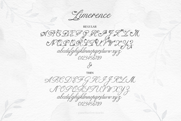 Limerence. Floral Font + Frames in Script Fonts - product preview 9