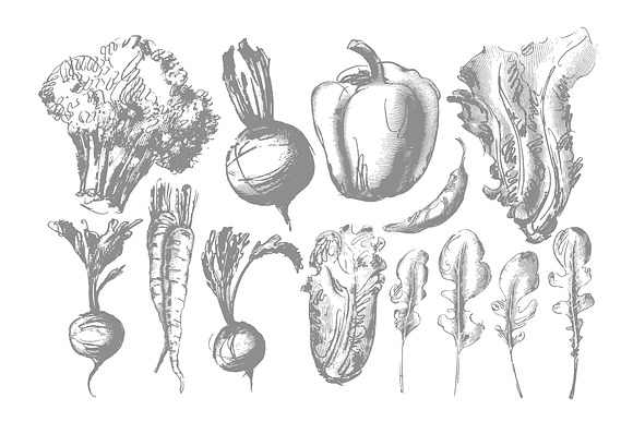 Vegetable collection in Objects - product preview 3