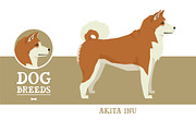 Dog breeds Akita Inu