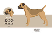 Dog breeds Border Terrier