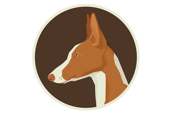 Dog breeds Ibizan Hound in Objects - product preview 2