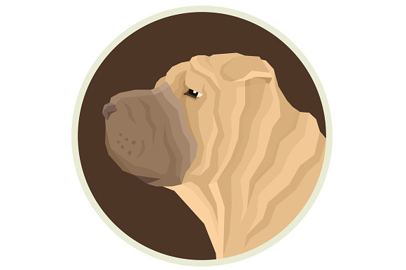 Dog breeds Shar Pei in Objects - product preview 2