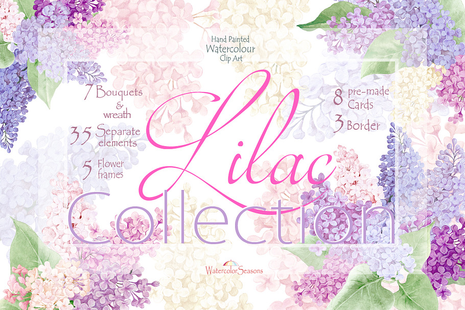 Lilac Collection