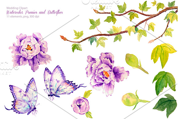 Wedding Purple Peonies & Butterflies in Illustrations - product preview 1