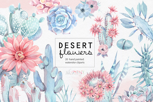 Desert flowers. Cacti clipart