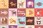 Zoo Animals vector illustration