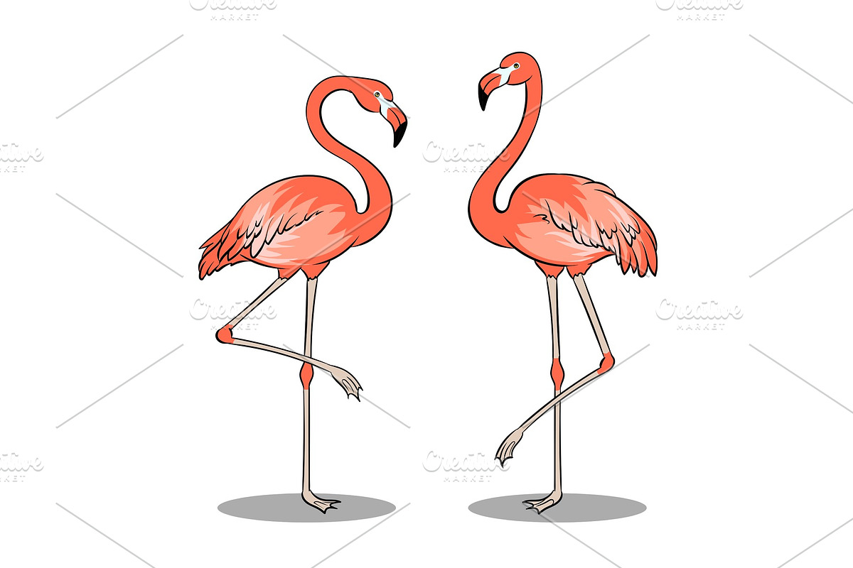 Pink flamingo bird pop art vector illustration in Illustrations - product preview 8