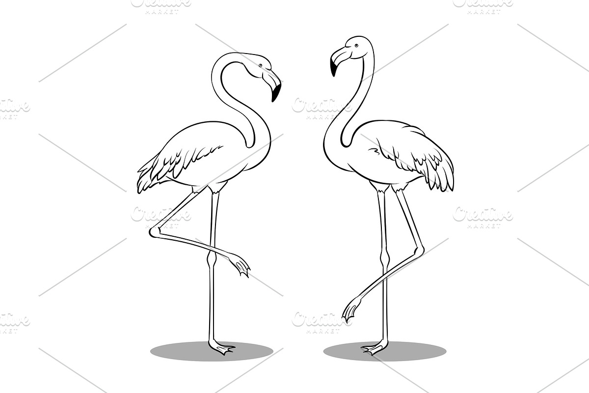 Pink flamingo bird coloring book vector in Illustrations - product preview 8
