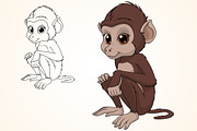 Funny cute monkey