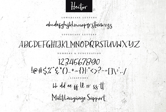 Hector Handwritten Font in Script Fonts - product preview 7