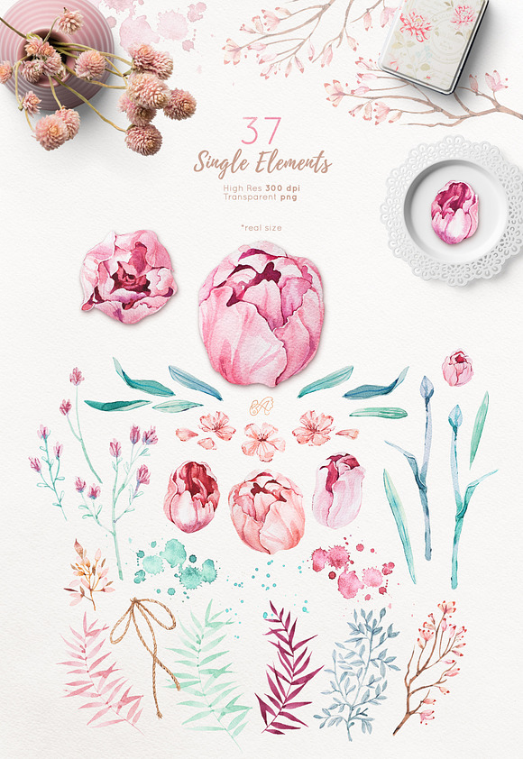 Pastel Tulip - Watercolour Set in Objects - product preview 3