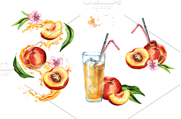 Peaches. Watercolor collection in Illustrations - product preview 4