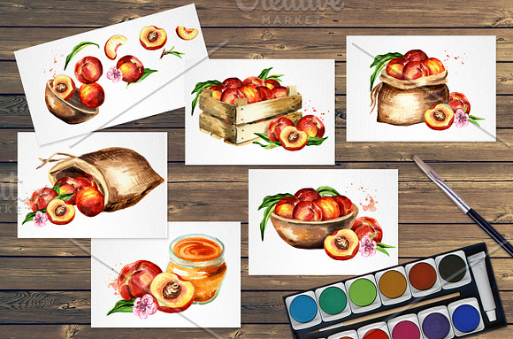 Peaches. Watercolor collection in Illustrations - product preview 5