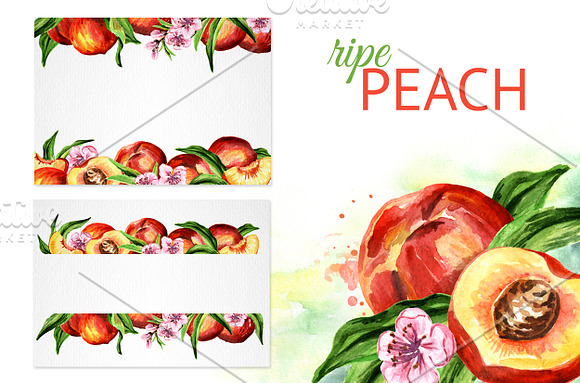 Peaches. Watercolor collection in Illustrations - product preview 6