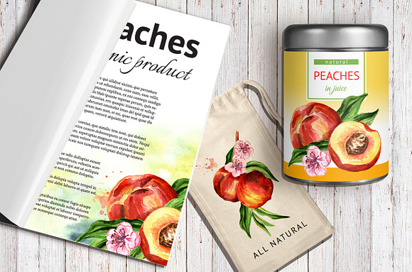 Peaches. Watercolor collection in Illustrations - product preview 7