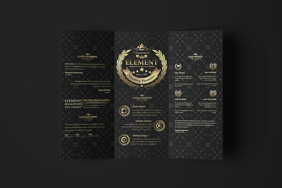 Sicenrial Elegant Tri-fold Brochure in Brochure Templates - product preview 8