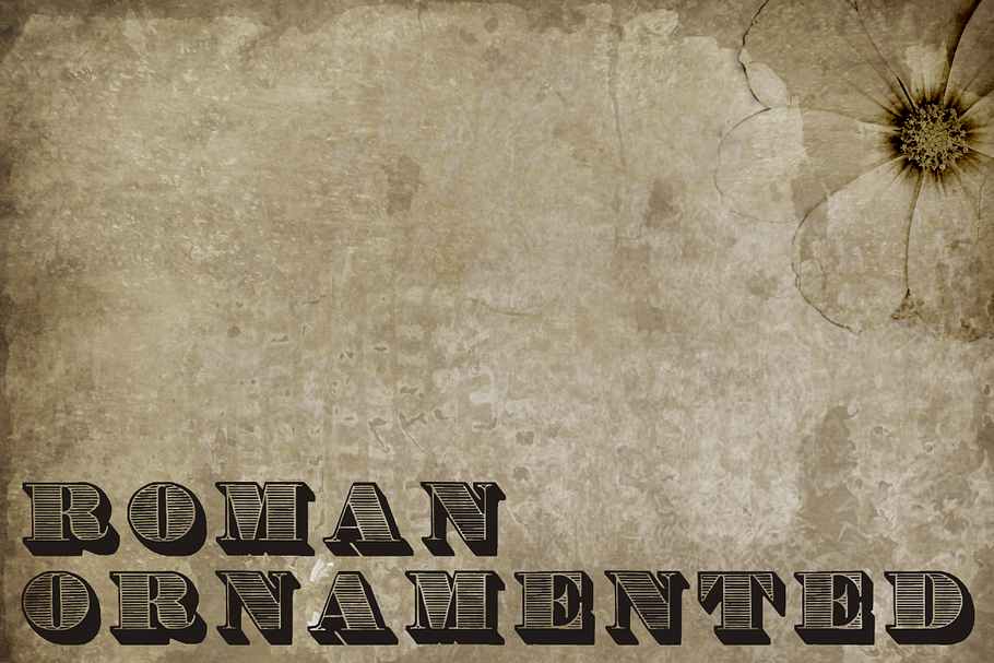 Roman Ornamented in Display Fonts - product preview 8