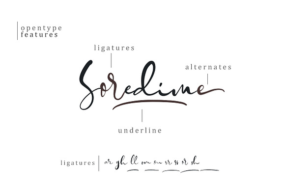 Soredime - Signature Script in Script Fonts - product preview 1