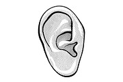 Human ear in engraved style