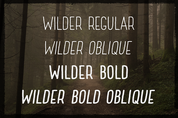 Wilder - A condensed sans serif in Text Fonts - product preview 2