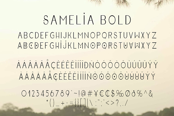 Samelia Family Font in Sans-Serif Fonts - product preview 6