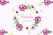 Anemone watercolor clip art
