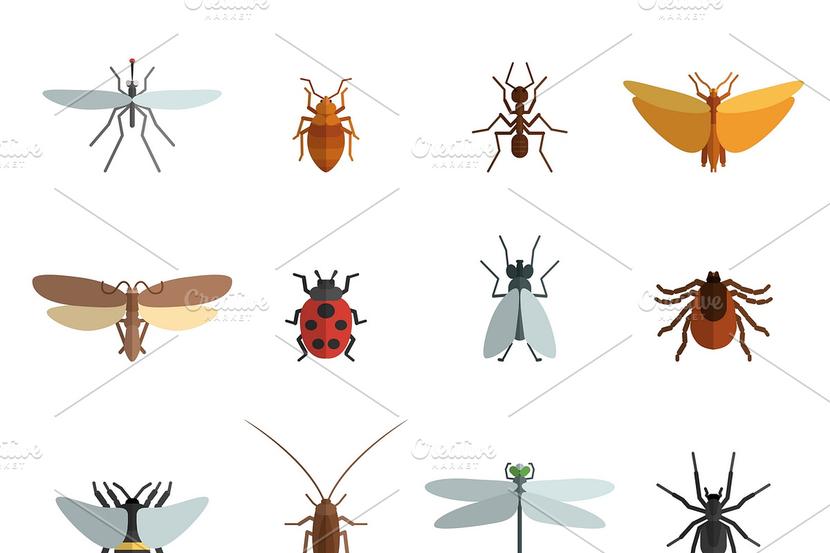 Insect icon flat set in Graphics - product preview 8