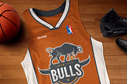 Bulls logo for sport team