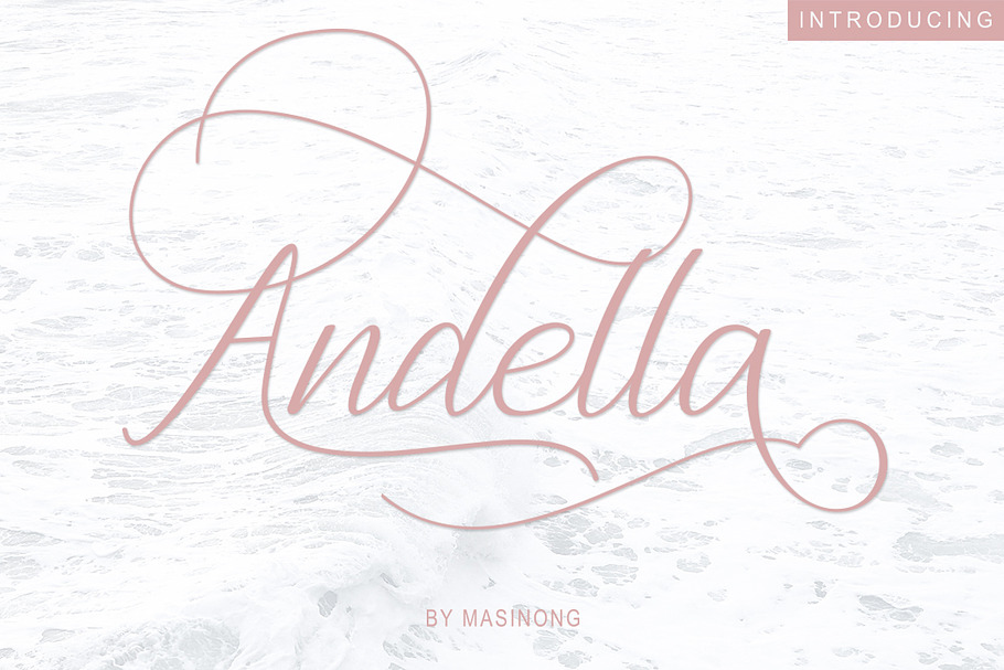 Andella Script | 30% Off in Script Fonts - product preview 8