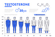 Decreasing chart of male hormone on white