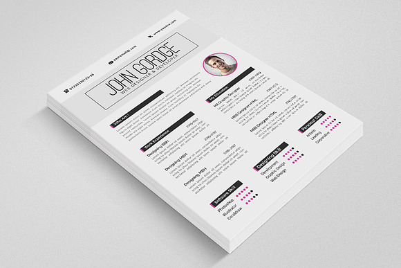 Professional Resume Ms Word in Resume Templates - product preview 1