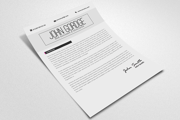 Professional Resume Ms Word in Resume Templates - product preview 2