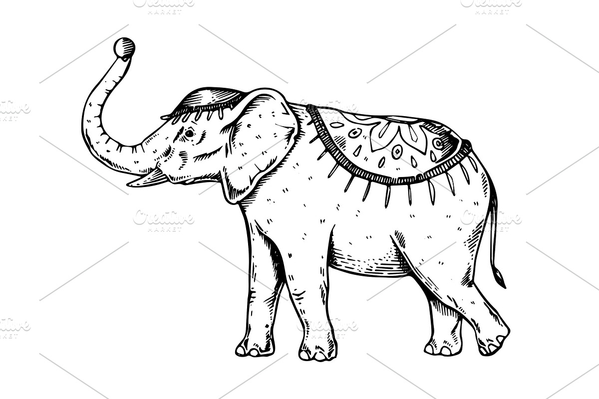 Circus elephant engraving vector illustration in Illustrations - product preview 8