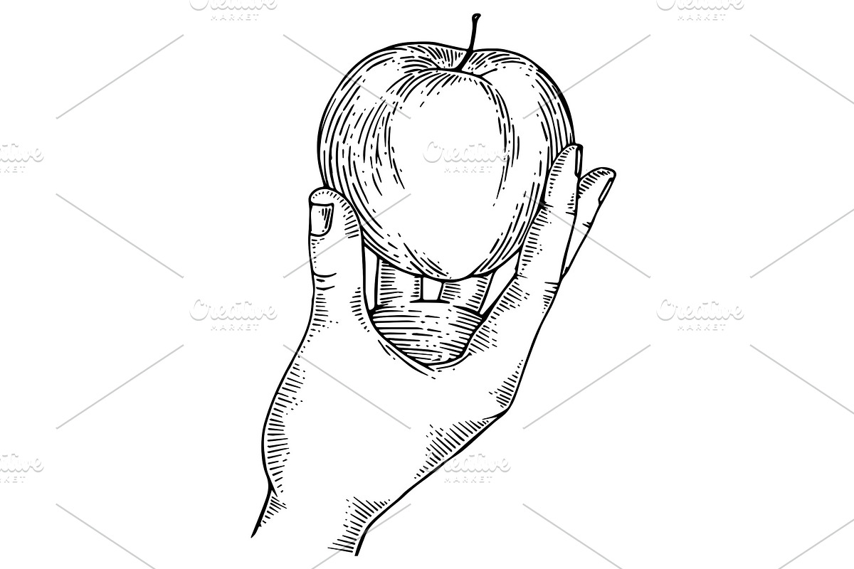 Apple in hand engraving vector illustration in Illustrations - product preview 8
