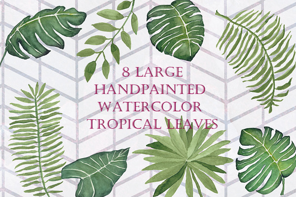 8 Large Watercolor Tropical Leaves
