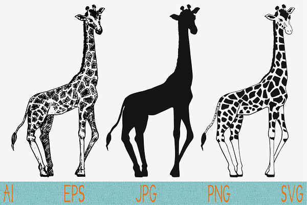 Giraffe set vector SVG PNG JPEG 