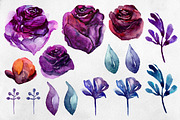 Purple roses clip art. Violet flower