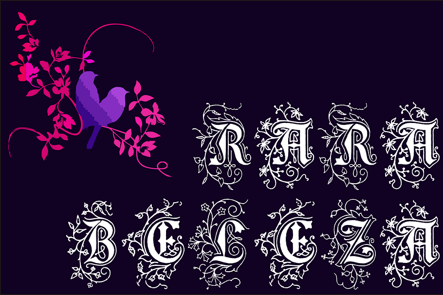 Rara Beleza in Display Fonts - product preview 8