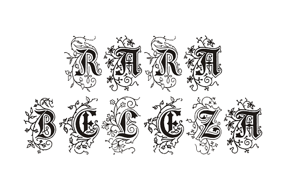 Rara Beleza in Display Fonts - product preview 1