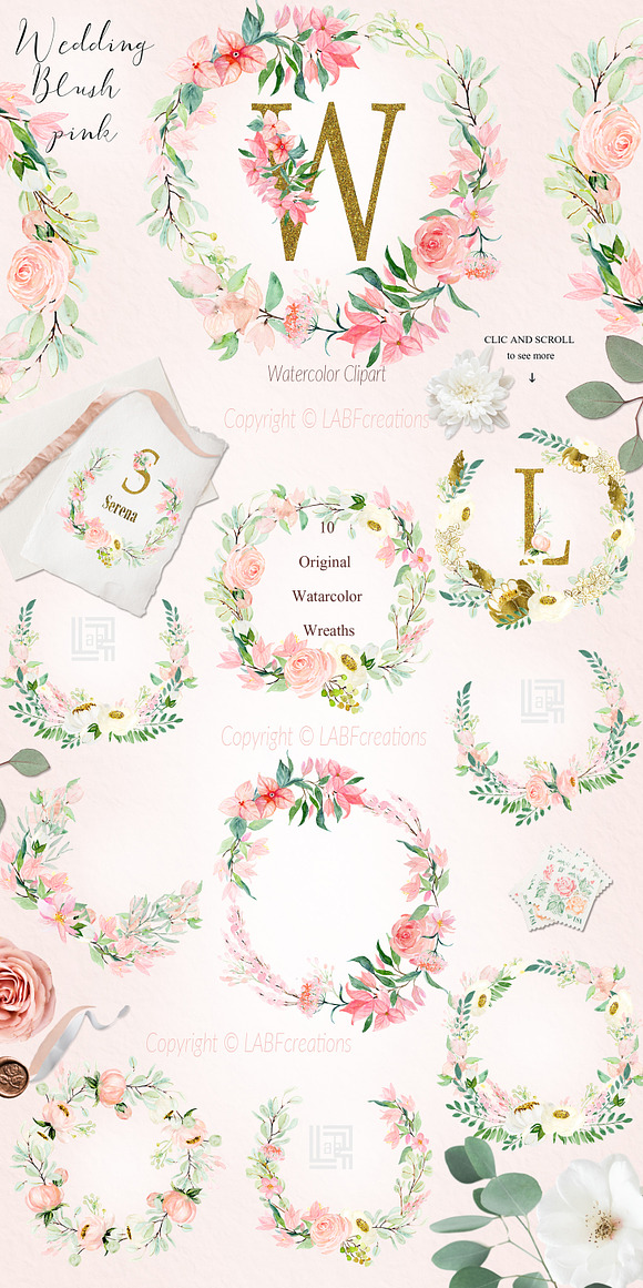 Blush pink bougainvillea flowers in Illustrations - product preview 2