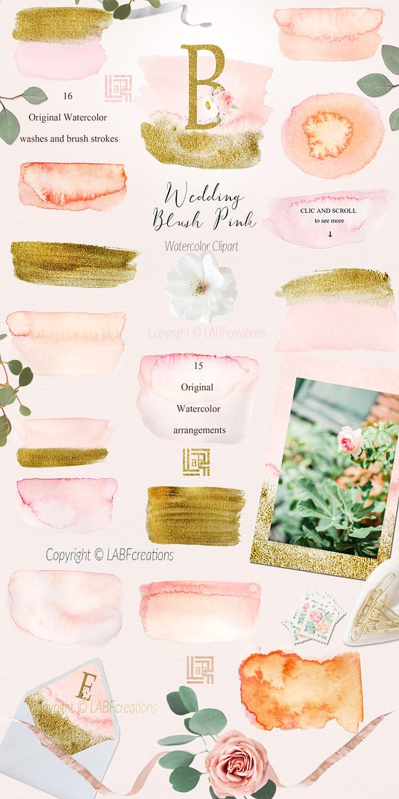 Blush pink bougainvillea flowers in Illustrations - product preview 3