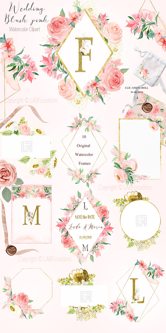 Blush pink bougainvillea flowers in Illustrations - product preview 4