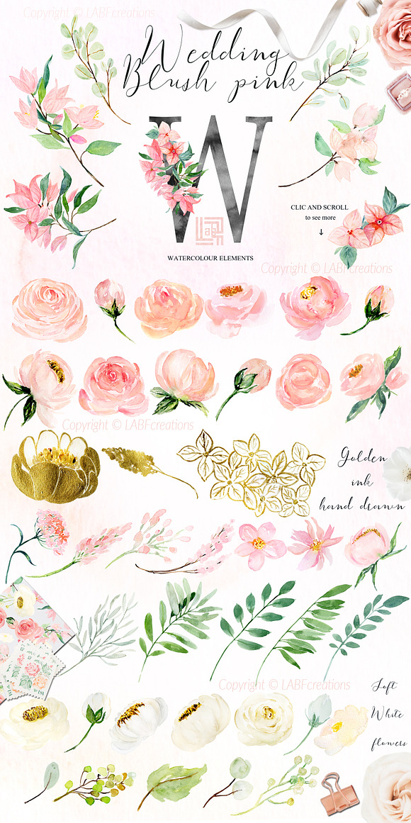 Blush pink bougainvillea flowers in Illustrations - product preview 7