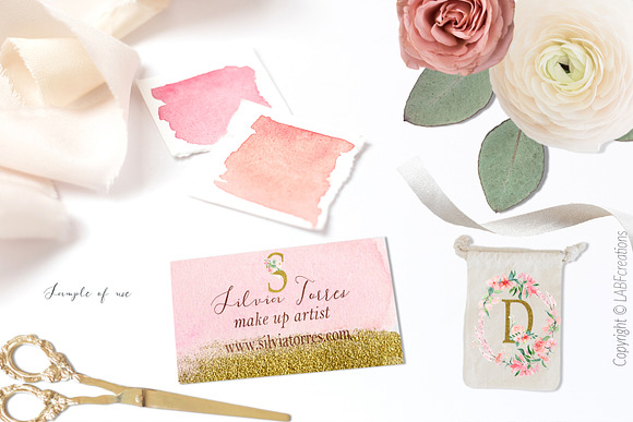 Blush pink bougainvillea flowers in Illustrations - product preview 9
