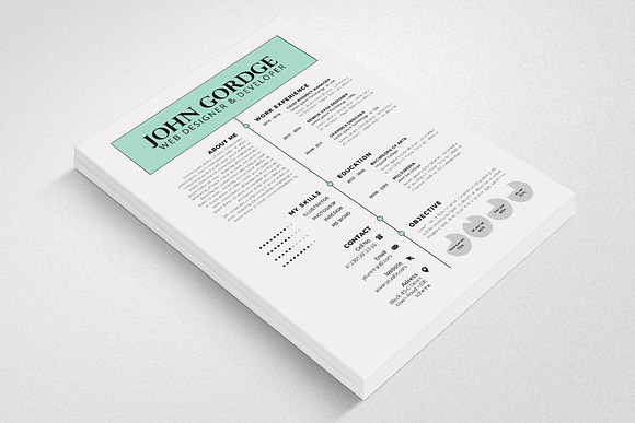 Simple Professional Word Resume in Resume Templates - product preview 1