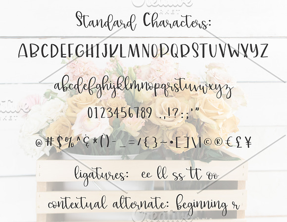 lillie belle hand lettered font in Script Fonts - product preview 3
